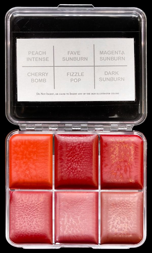 Skin Illustrator On Set Sunburn Palette